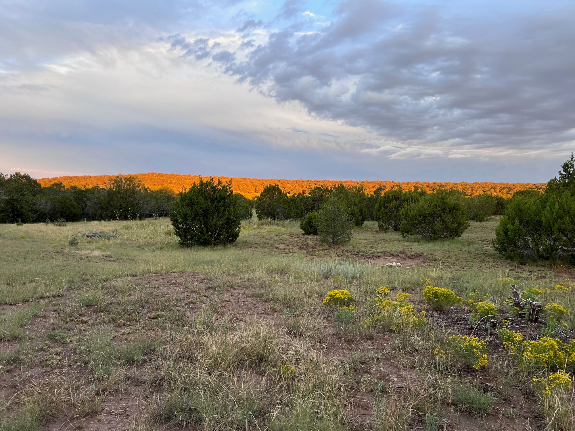 Panoramic view of the Ranchito de la Redención property showing juniper trees, golden rabbit brush, and a hillside of orange autumn foliage under a cloudy sky.